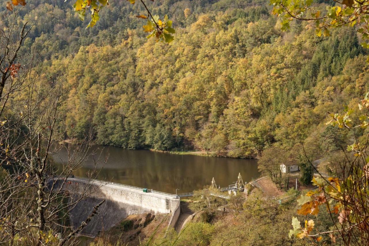 Gite De Sauviat 25 Chemin Du Grand Pacher Le Bourg De Sauviat 63120 Luaran gambar